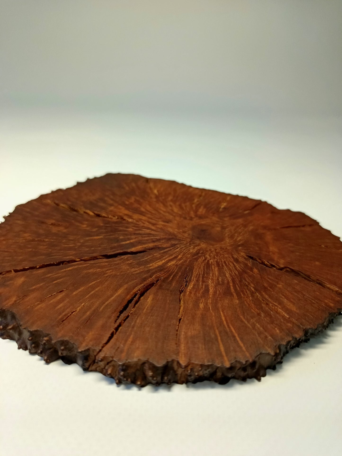 Maceta gres ·Laja raíz erica