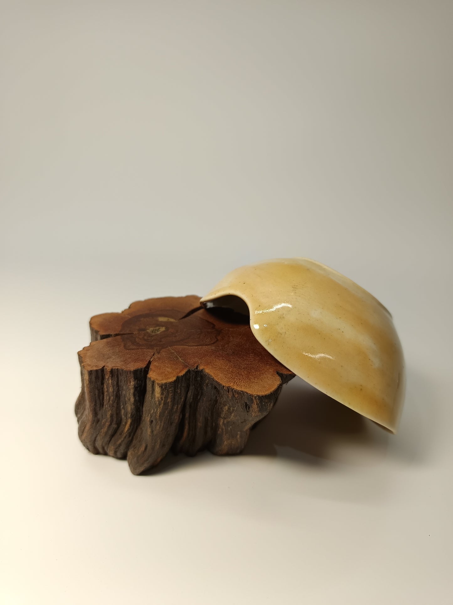Cuenco gres beige ·Laja vid