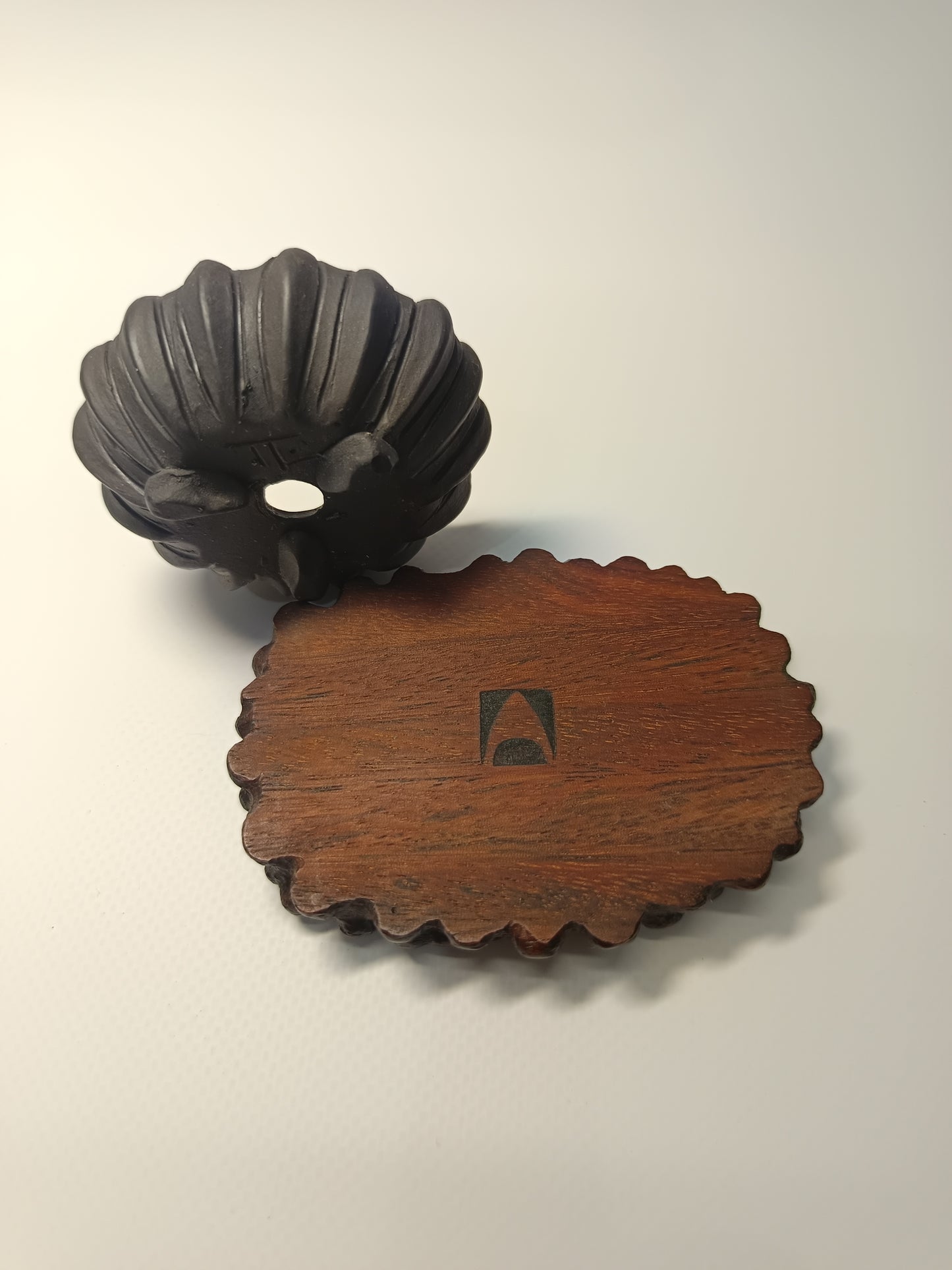 Maceta · Laja elondo