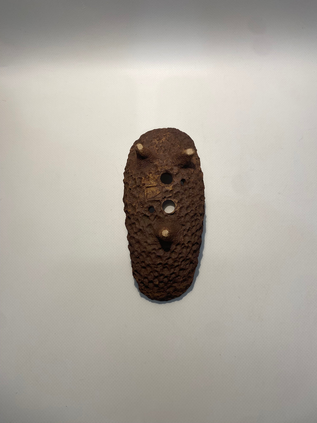 Maceta bonsái kurama