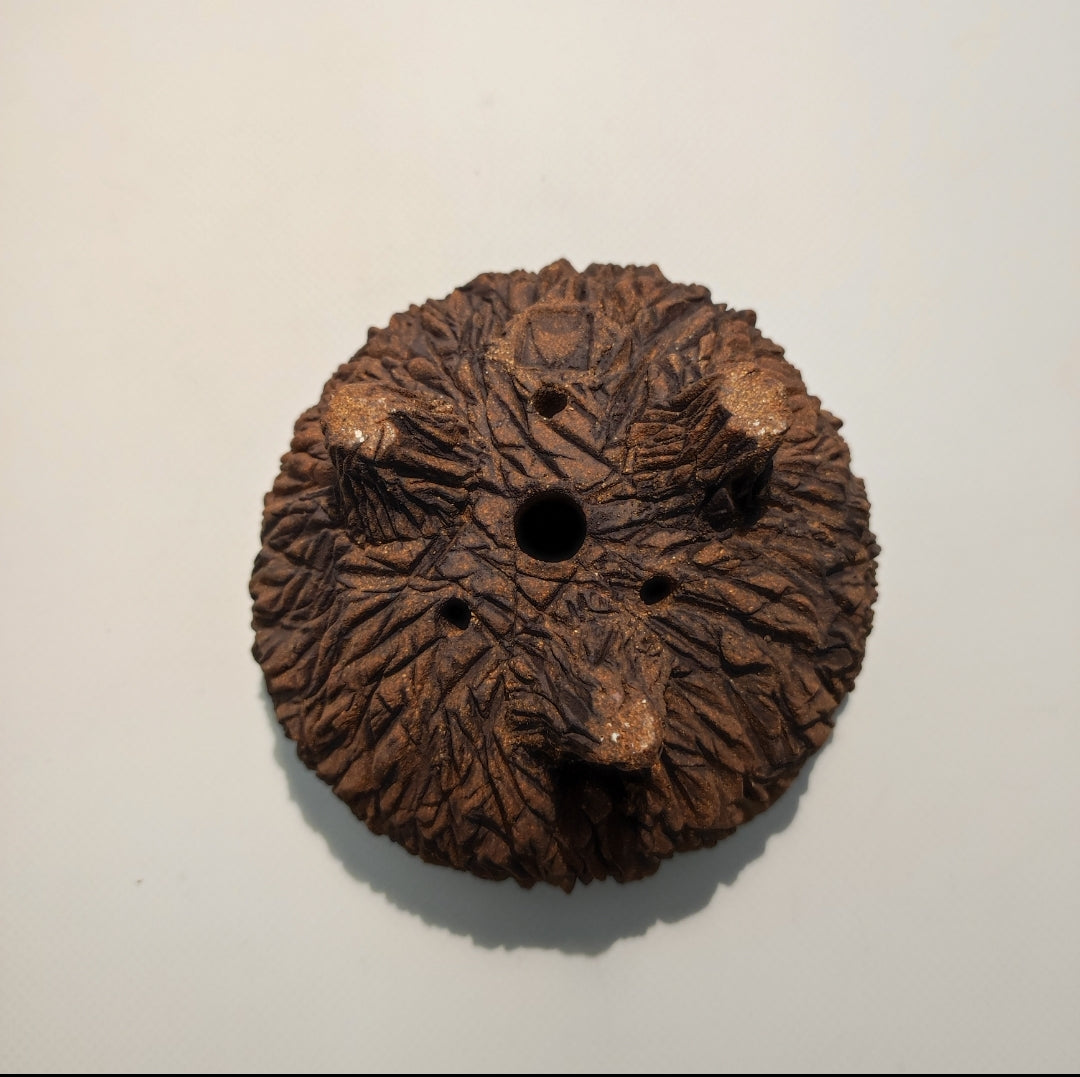 Maceta bonsái kurama