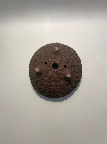 Maceta bonsái kurama