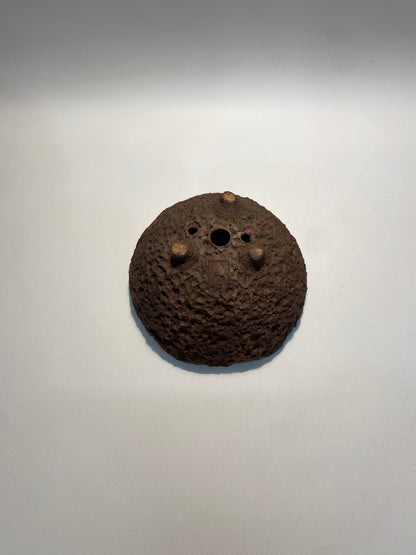 Maceta bonsái kurama