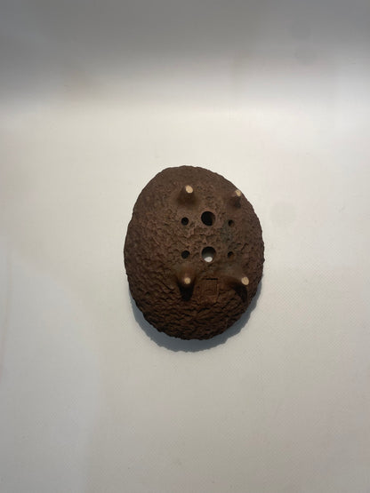 Maceta bonsái kurama
