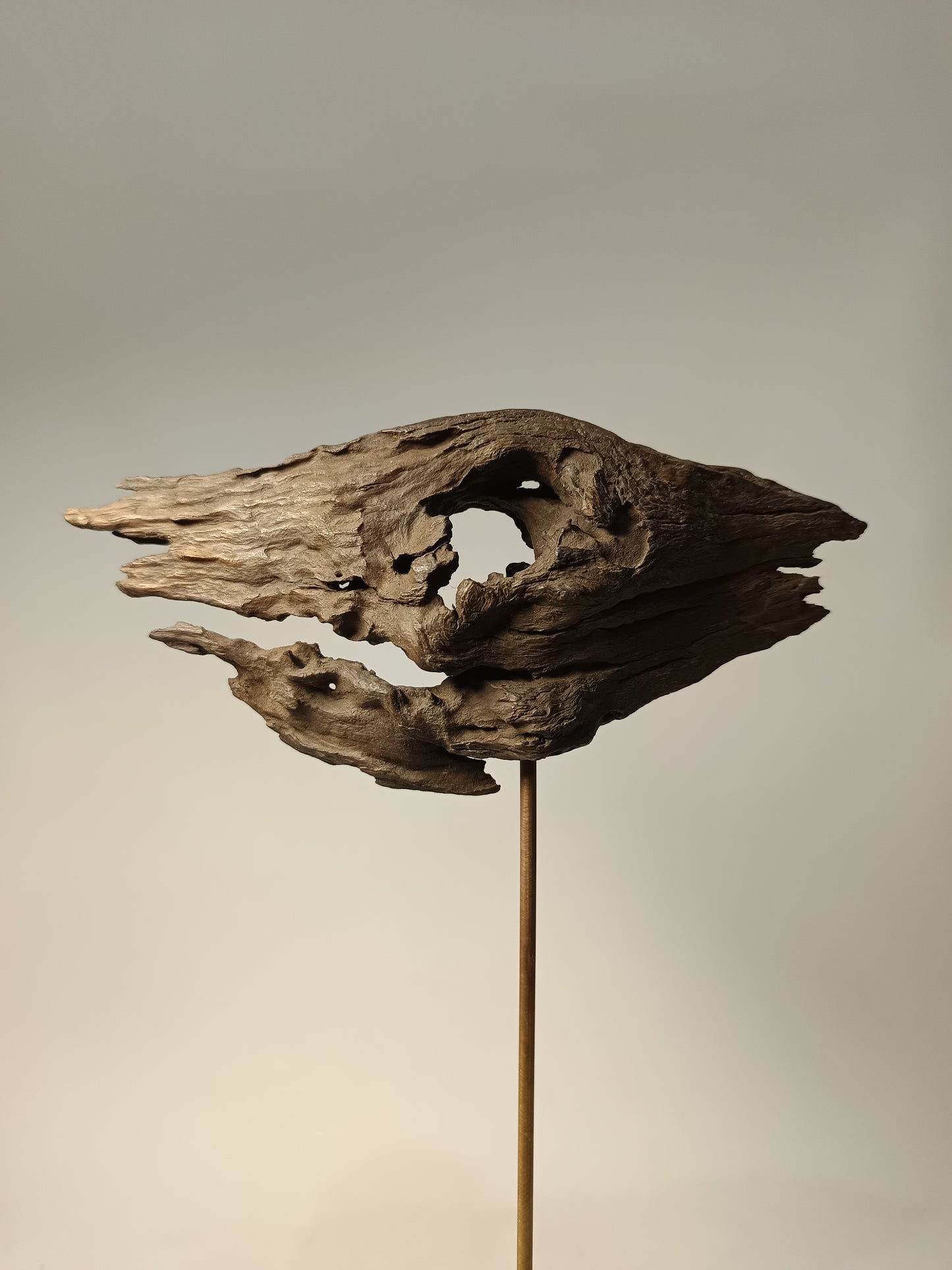 Escultura madera de raíz