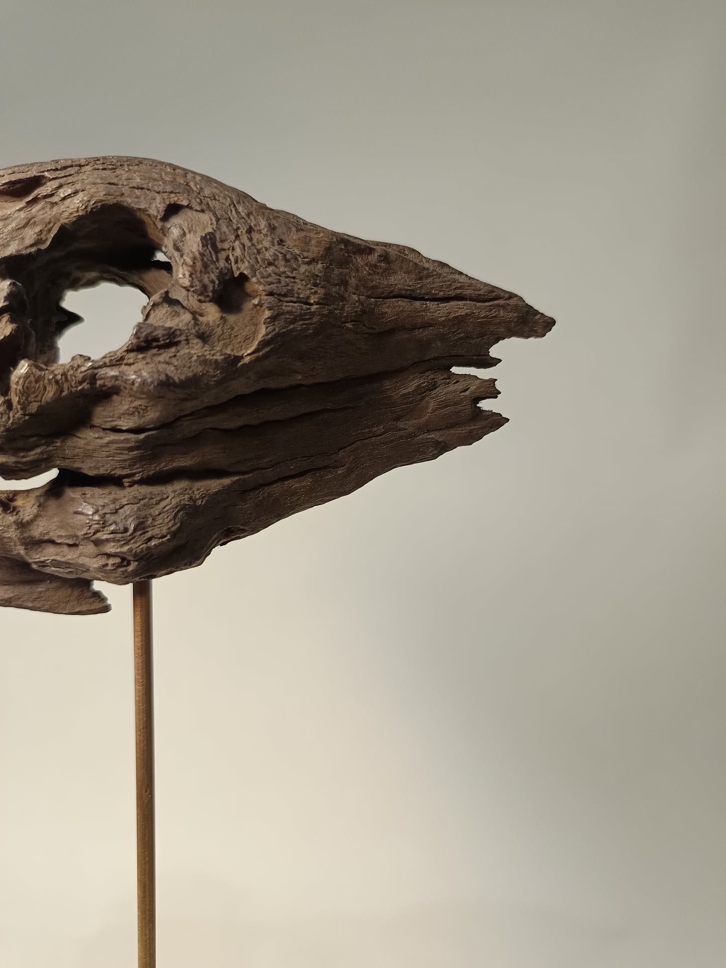 Escultura madera de raíz