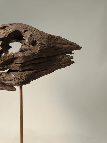 Escultura madera de raíz