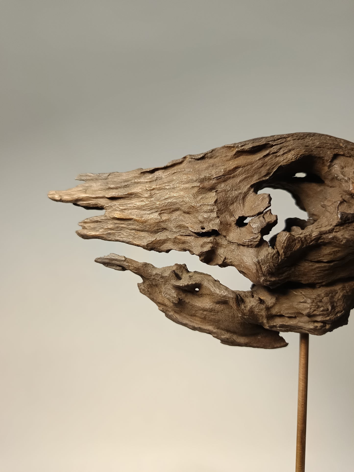 Escultura madera de raíz