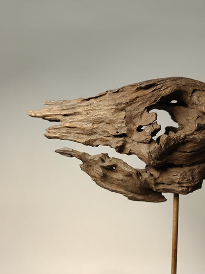 Escultura madera de raíz