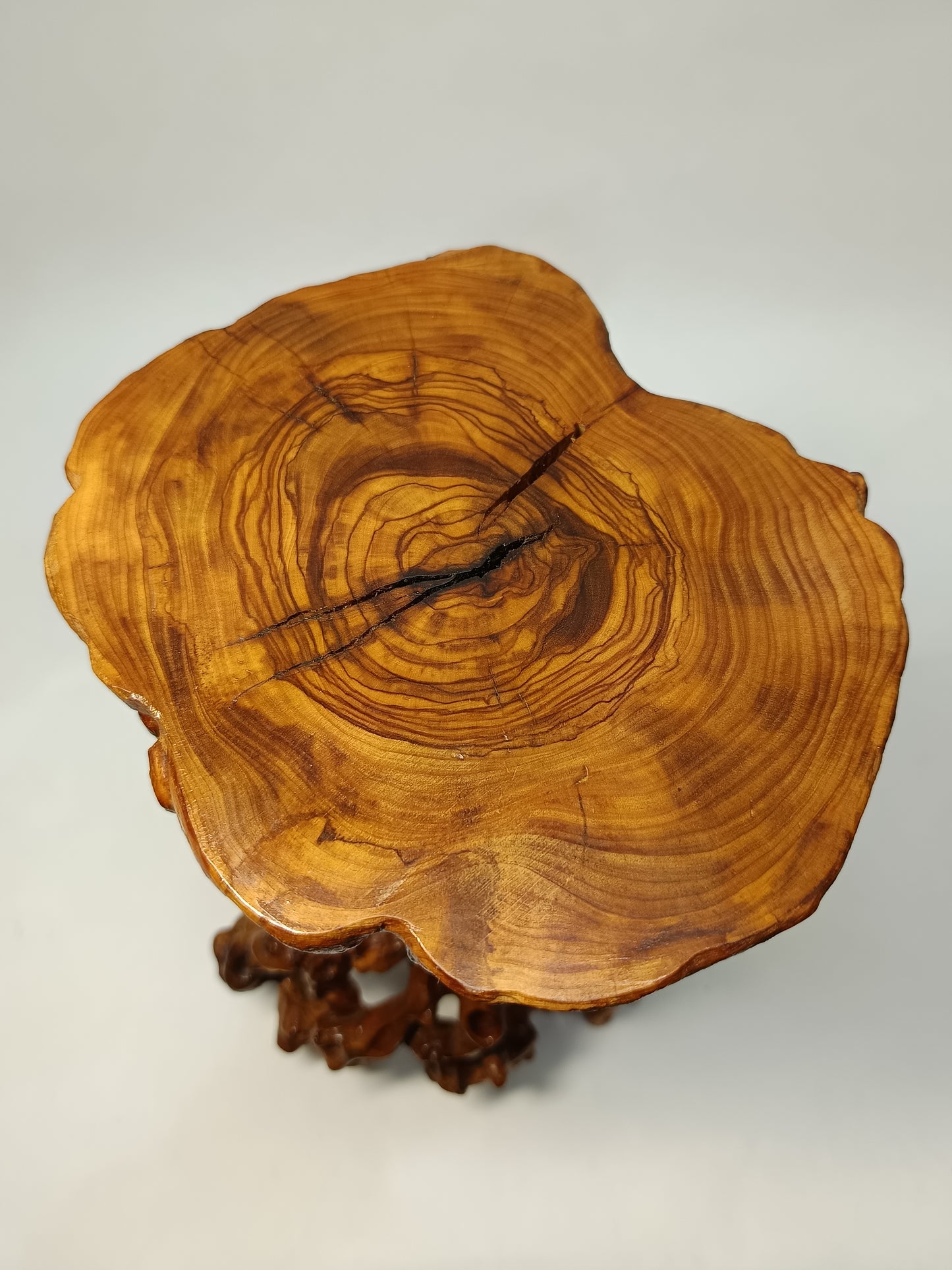 Mesa de raíces olivo 001