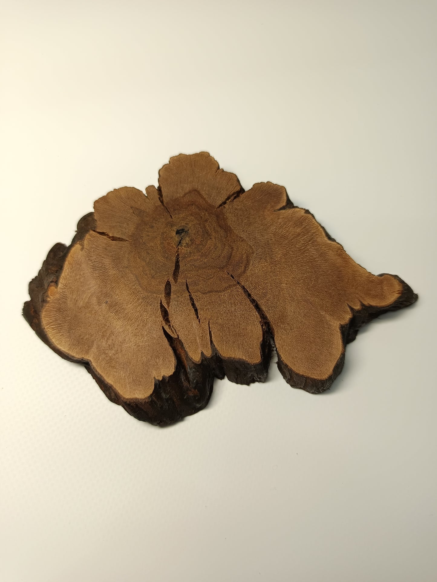 Maceta verde · Laja vid