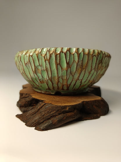 Maceta verde · Laja vid