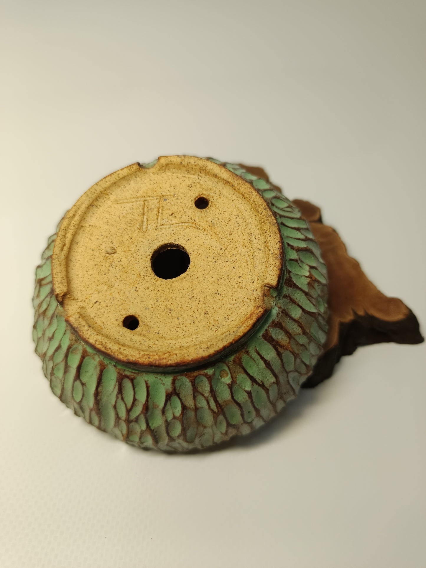 Maceta verde · Laja vid