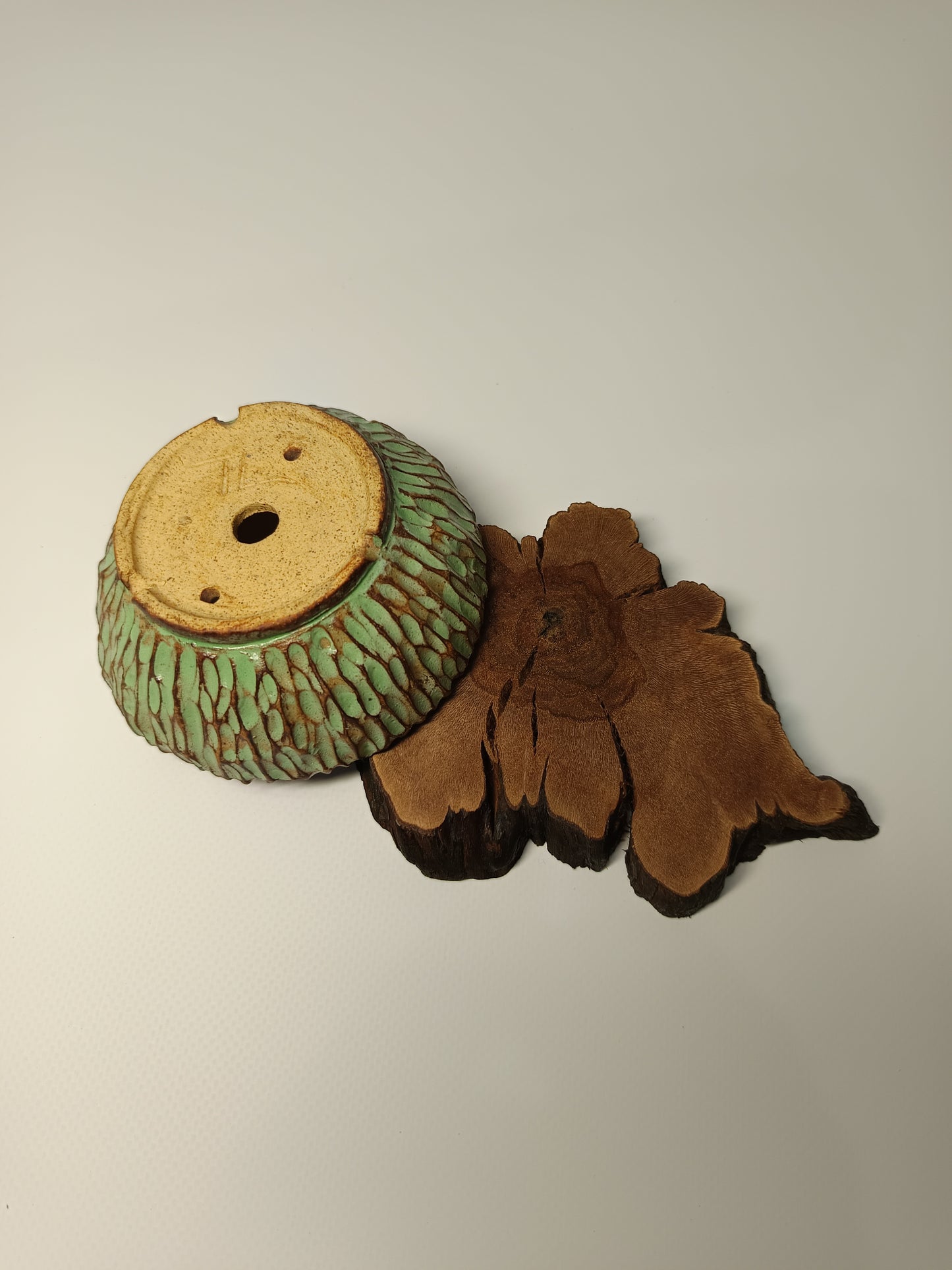 Maceta verde · Laja vid