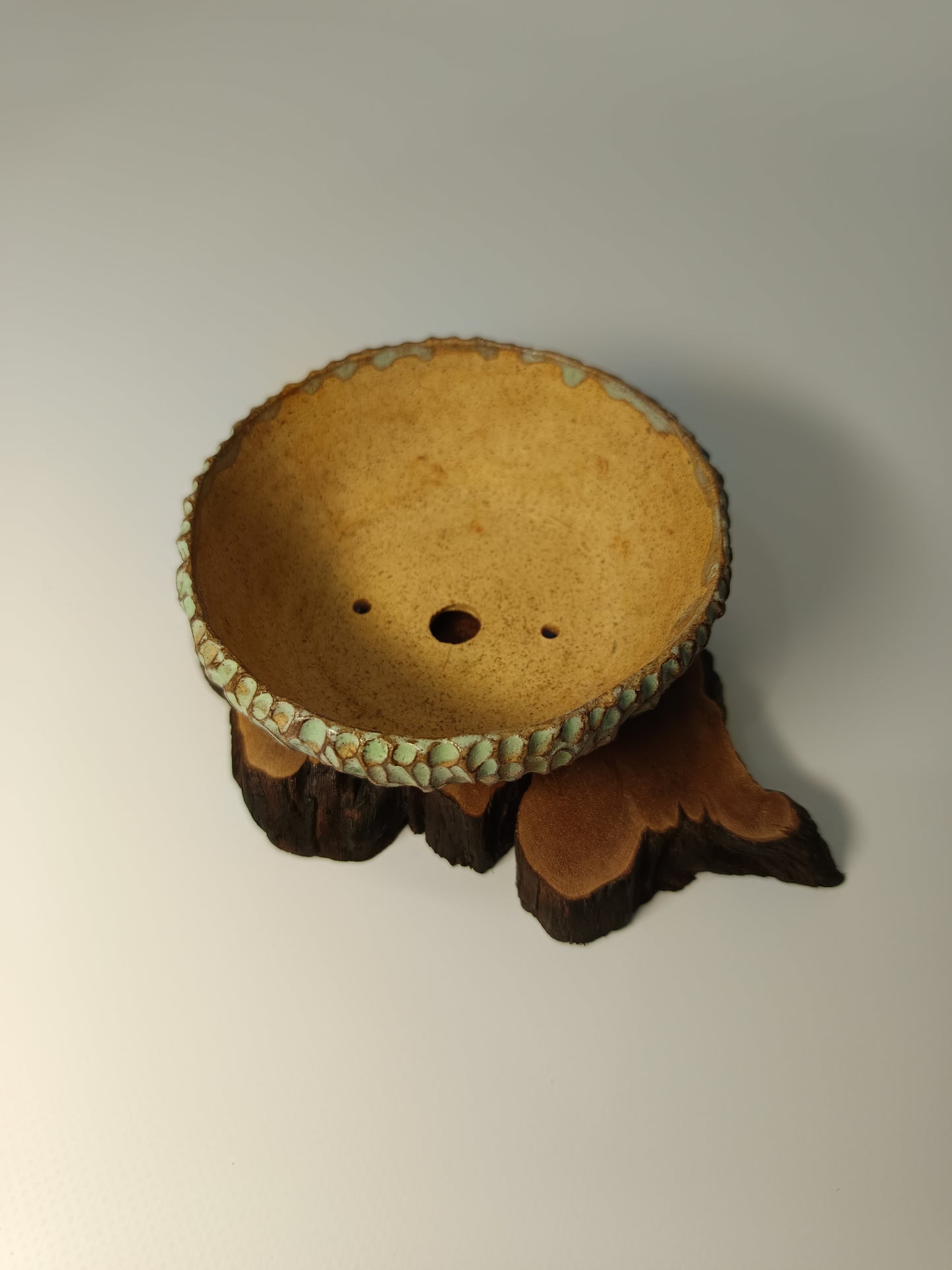 Maceta verde · Laja vid