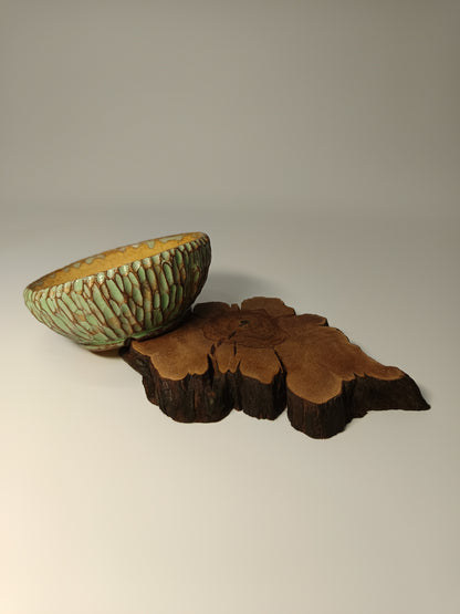 Maceta verde · Laja vid