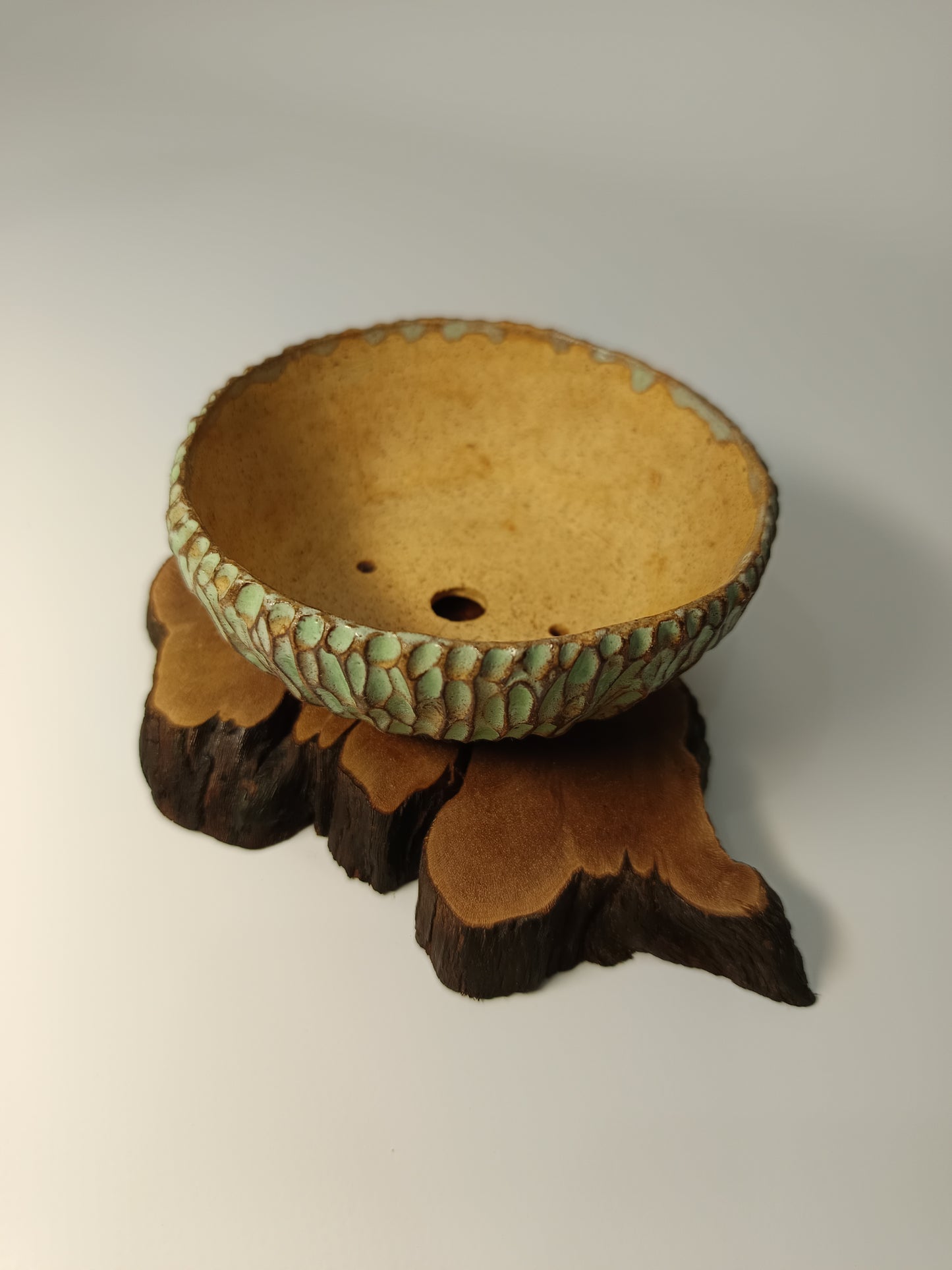 Maceta verde · Laja vid