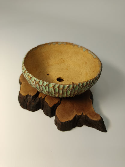 Maceta verde · Laja vid