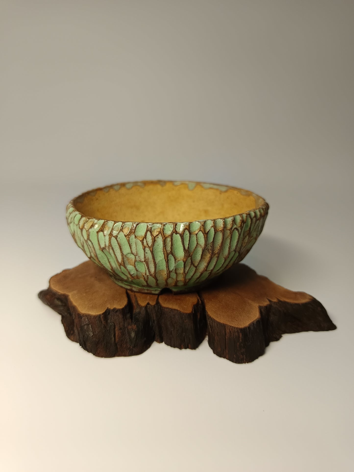 Maceta verde · Laja vid