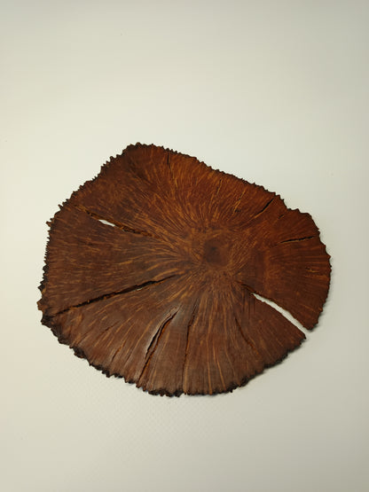 Maceta gres ·Laja raíz erica