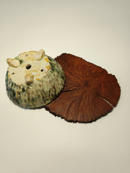 Maceta gres ·Laja raíz erica