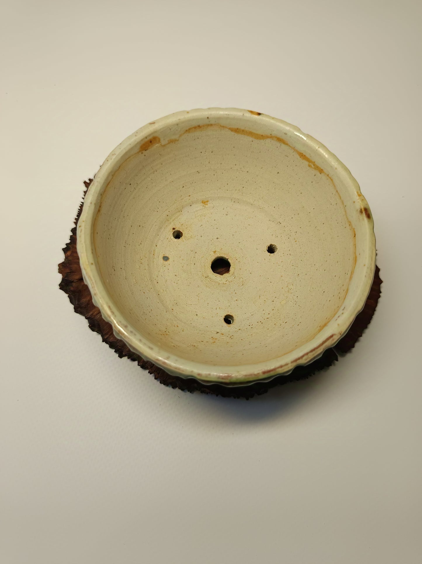 Maceta gres ·Laja raíz erica