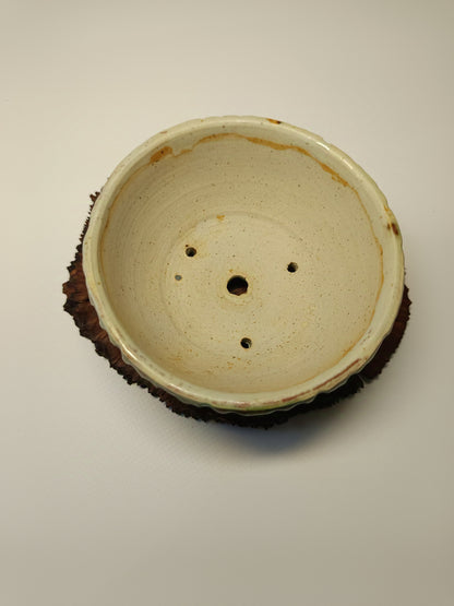 Maceta gres ·Laja raíz erica