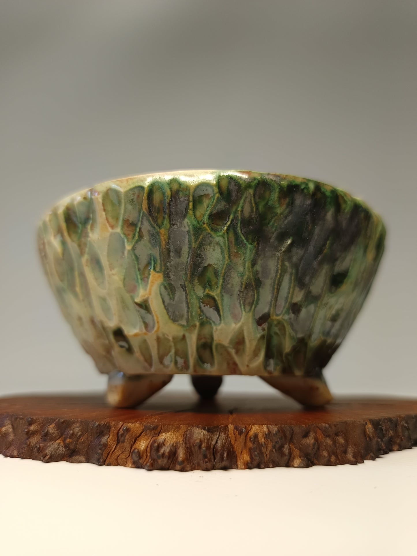 Maceta gres ·Laja raíz erica