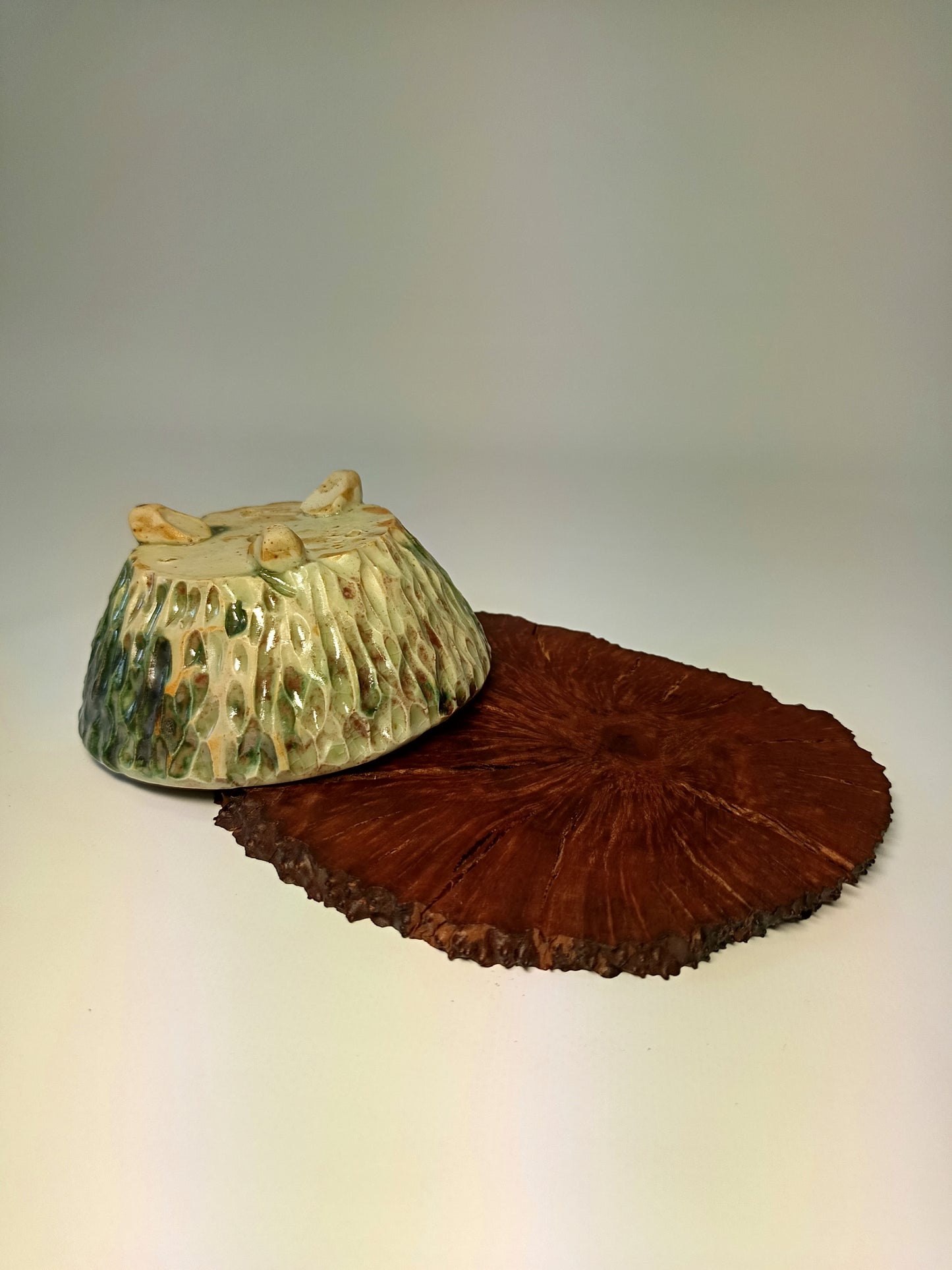 Maceta gres ·Laja raíz erica