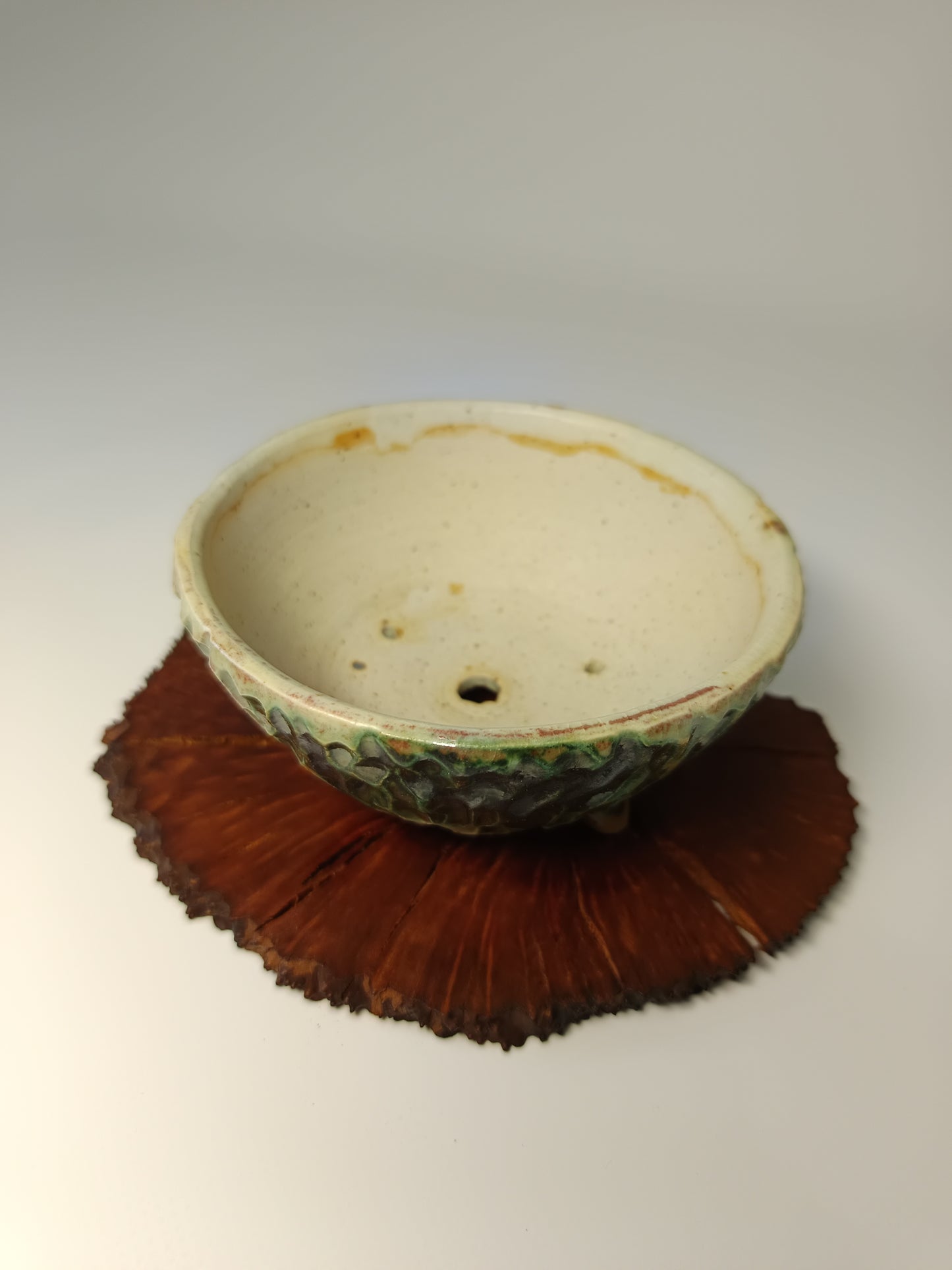 Maceta gres ·Laja raíz erica