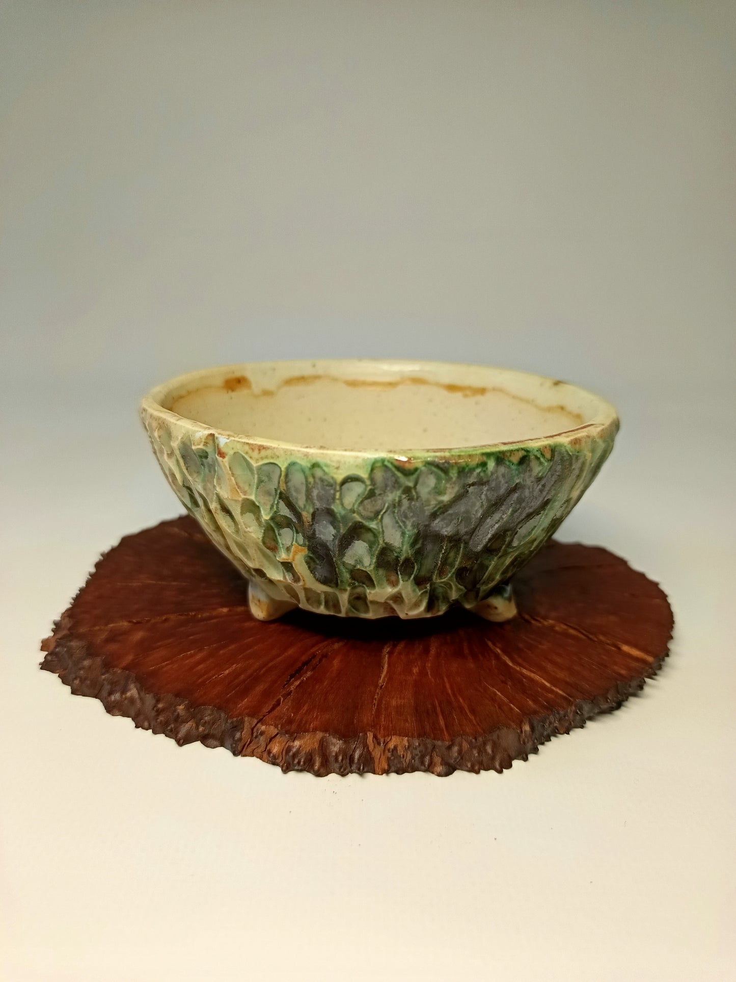 Maceta gres ·Laja raíz erica