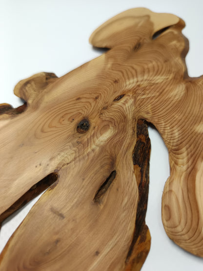 Maceta gres ·Laja sabina