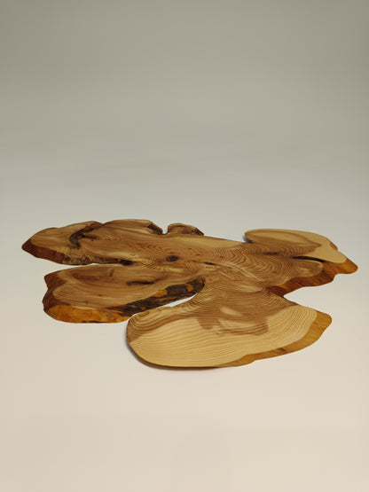 Maceta gres ·Laja sabina