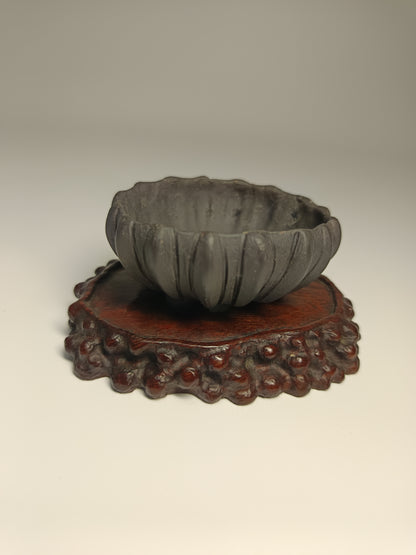 Maceta · Laja elondo