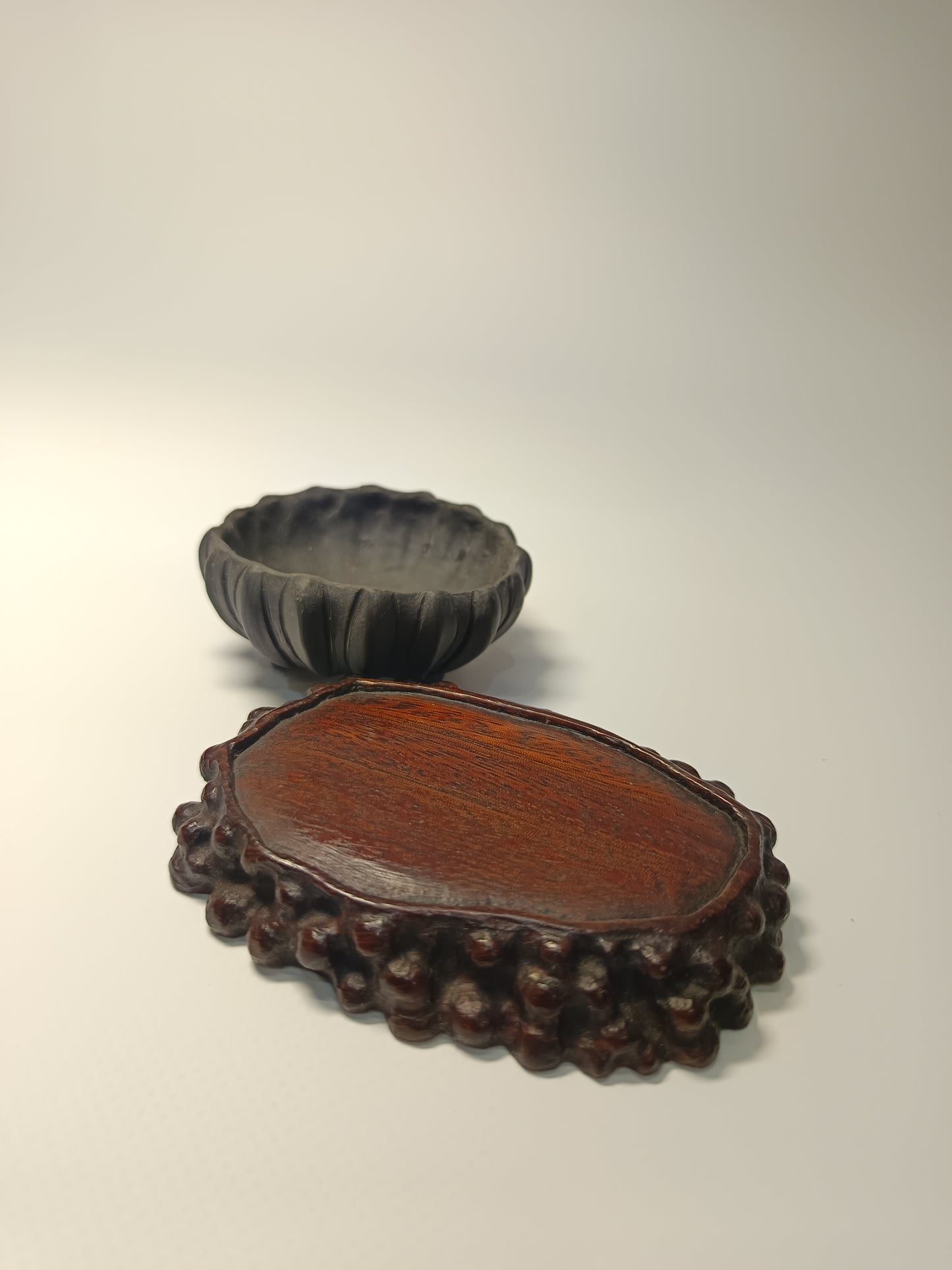 Maceta · Laja elondo