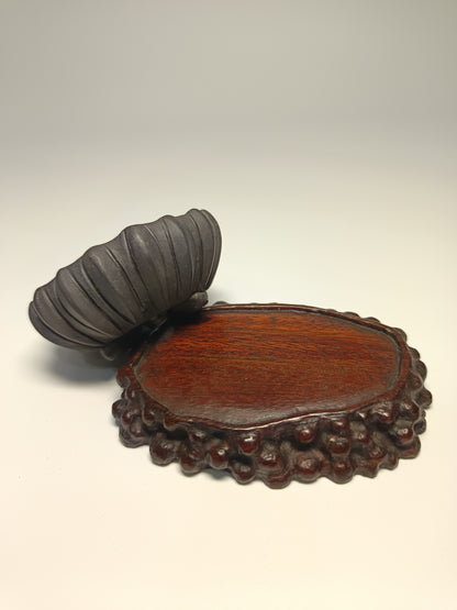 Maceta · Laja elondo