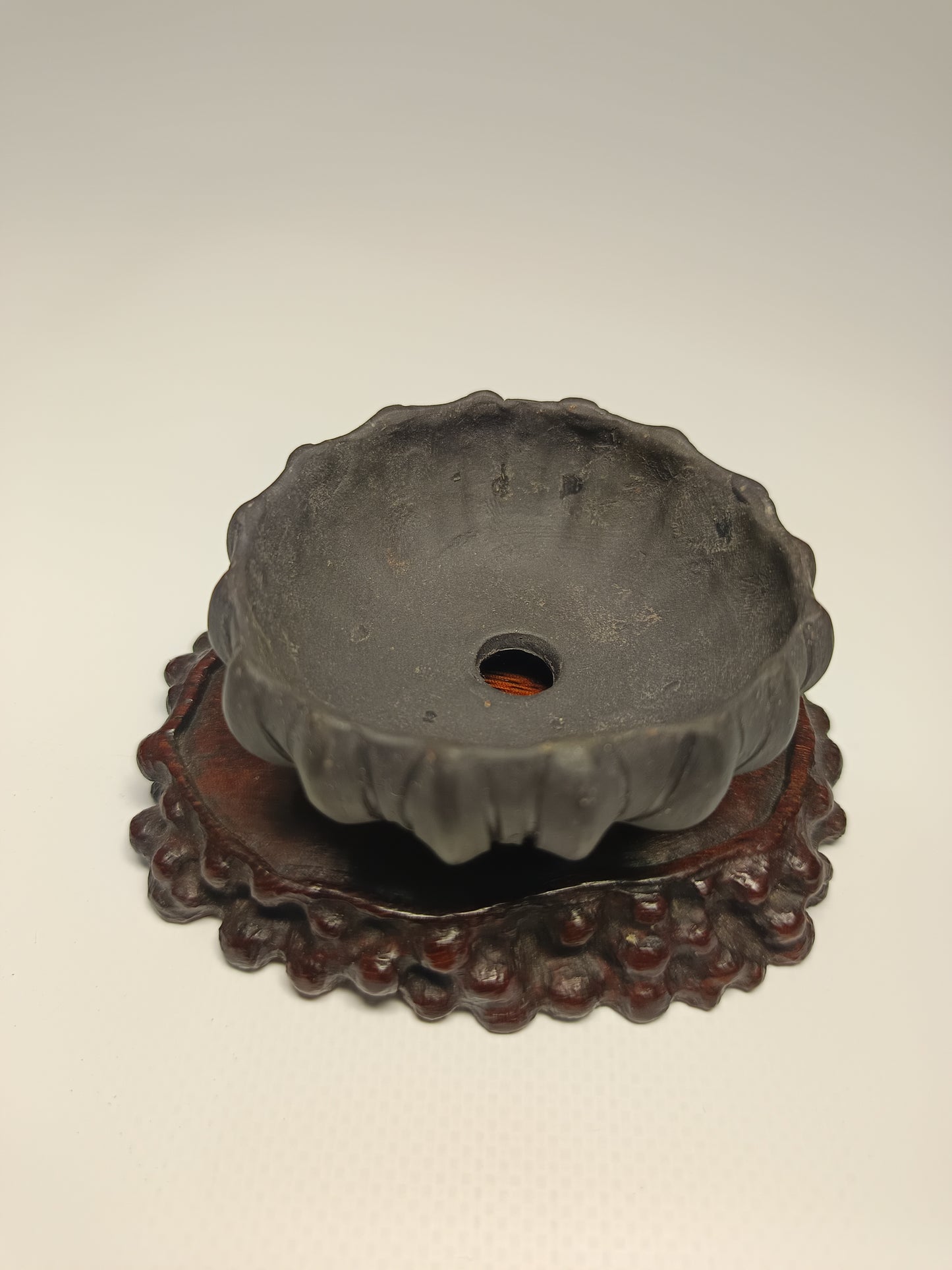 Maceta · Laja elondo