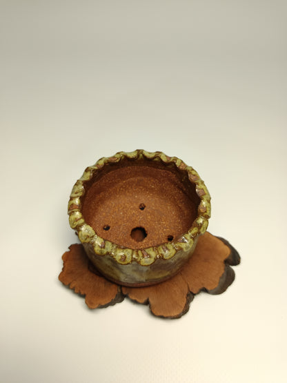 Maceta gres ·Laja vid