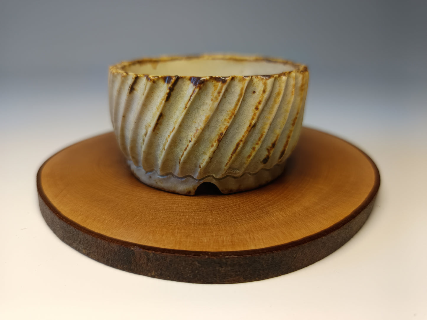 Maceta ·Laja camelia