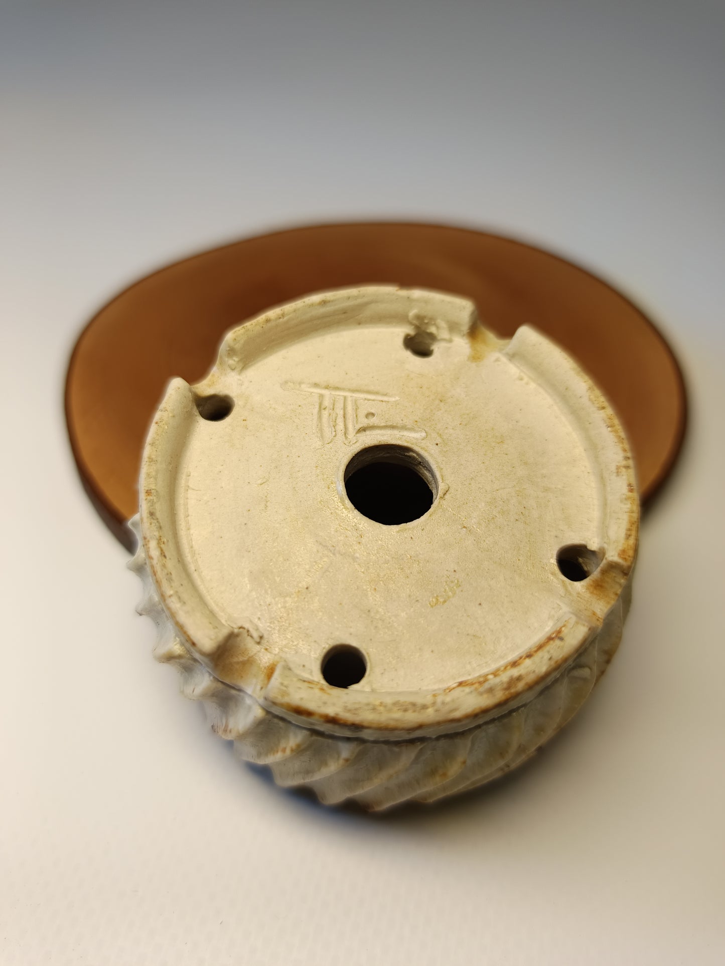 Maceta ·Laja camelia