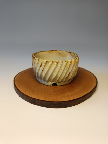 Maceta ·Laja camelia