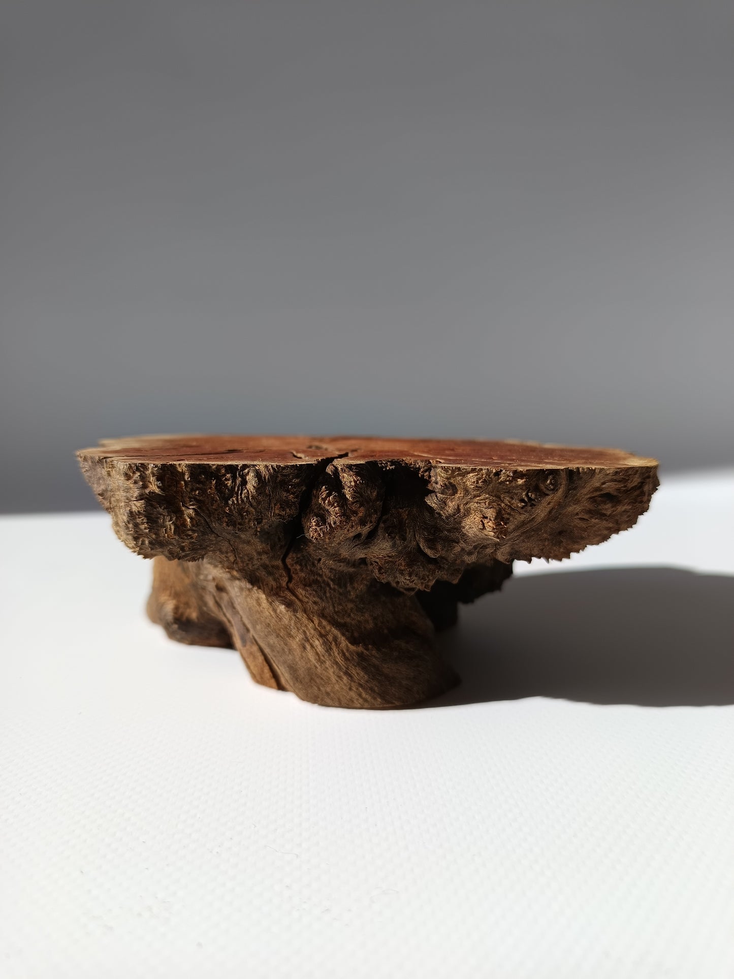 Maceta kurama ·Peana erica