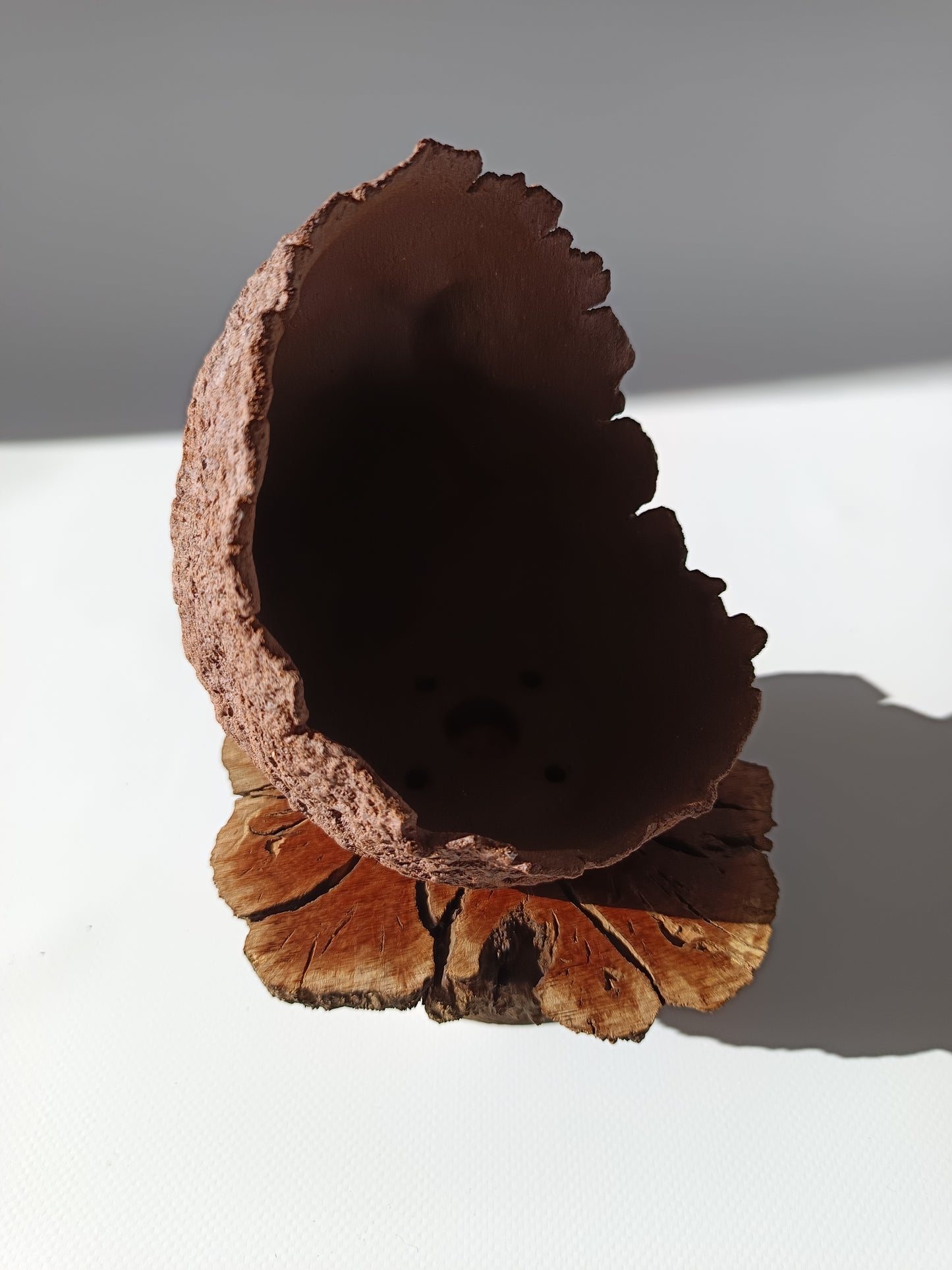 Maceta kurama ·Peana erica