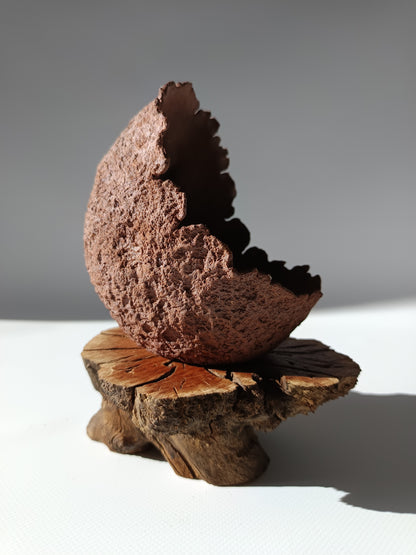 Maceta kurama ·Peana erica