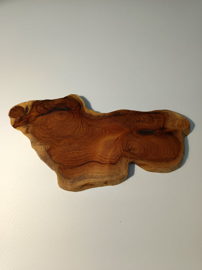 Maceta kusamono ·Laja tejo