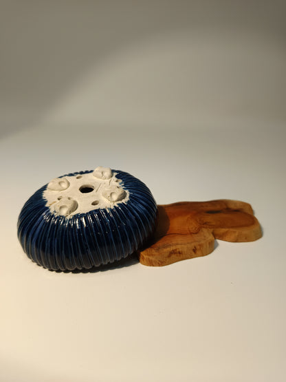 Maceta kusamono ·Laja tejo