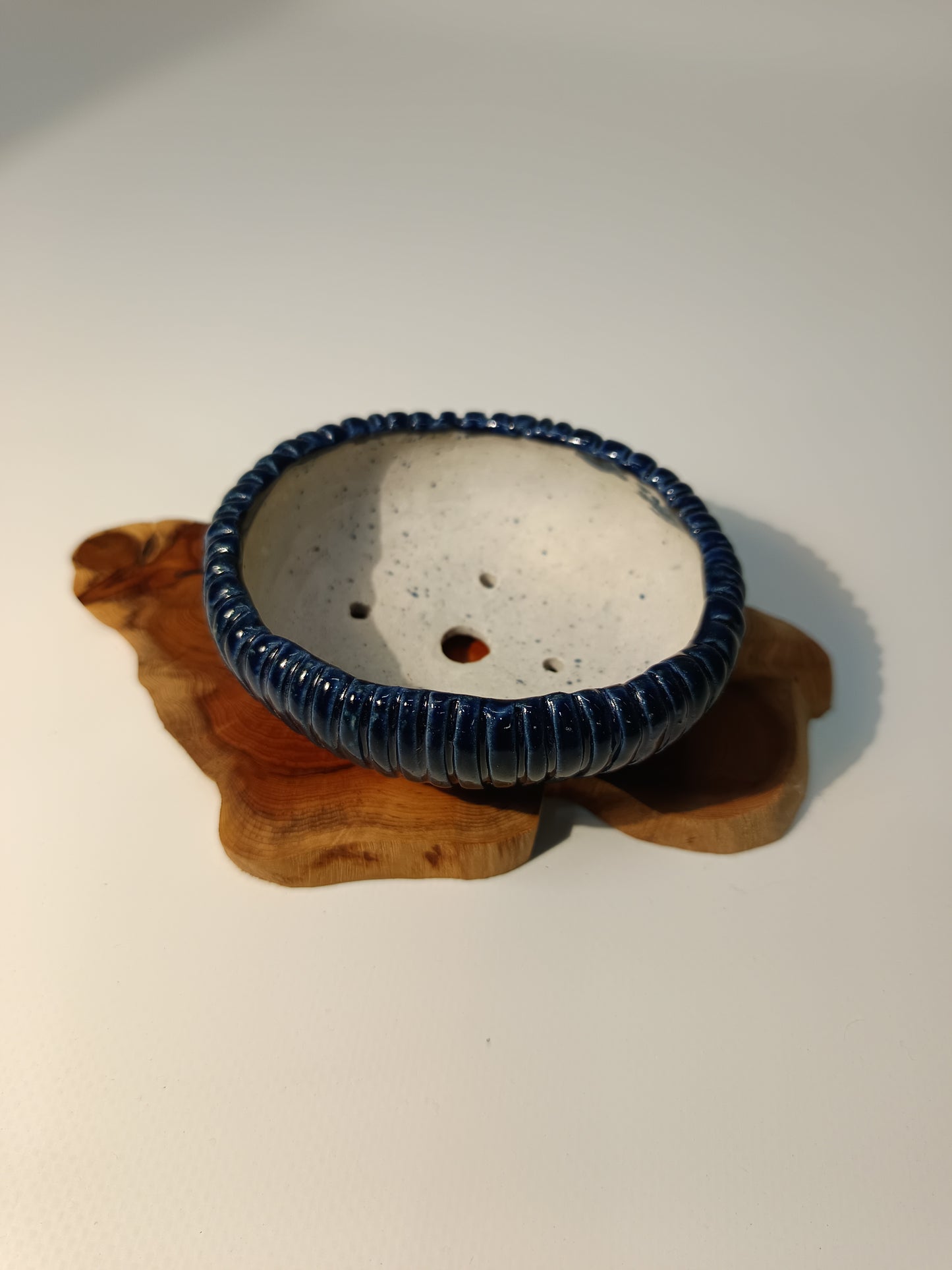 Maceta kusamono ·Laja tejo