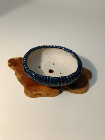 Maceta kusamono ·Laja tejo