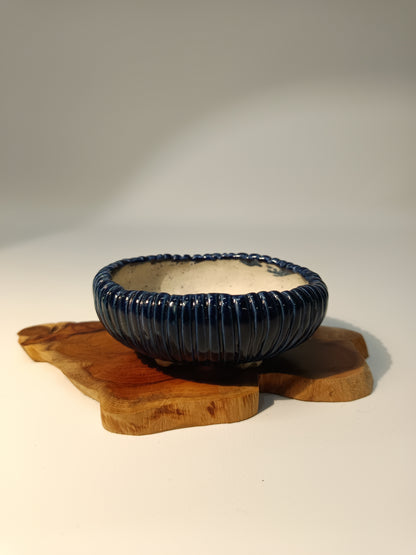 Maceta kusamono ·Laja tejo