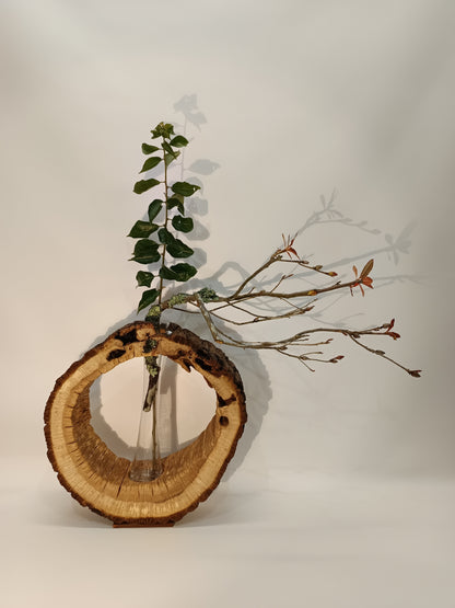 Jarrón madera de roble y vidrio